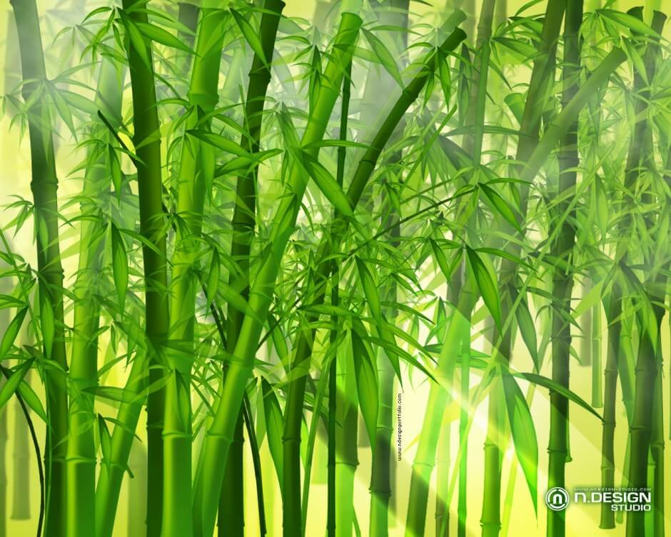 我爱你。经典鸡汤2018最新版给你带来的不是方便和资源
