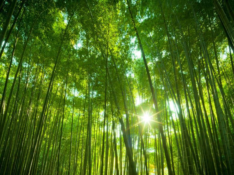 一个人住，就能幸福。
